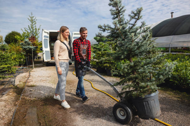 Best Palm Tree Trimming  in Blountstown, FL